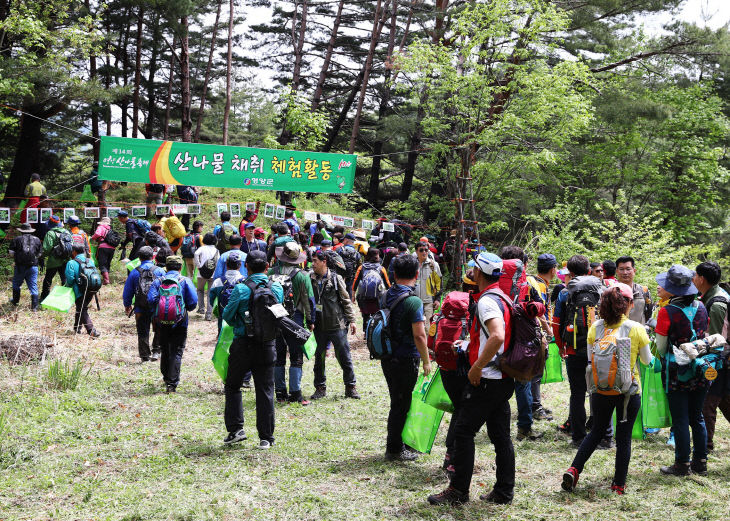 영양 산나물축제3 산나물체험 (1)