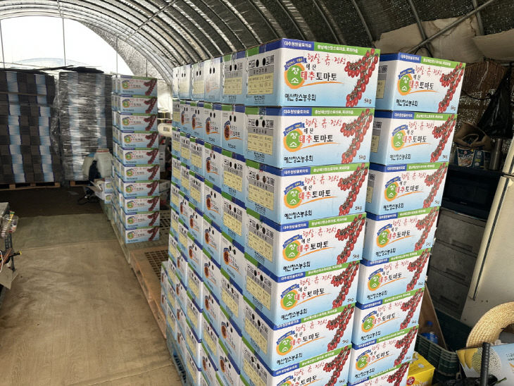 2.예산군 생산 방울토마토 상자