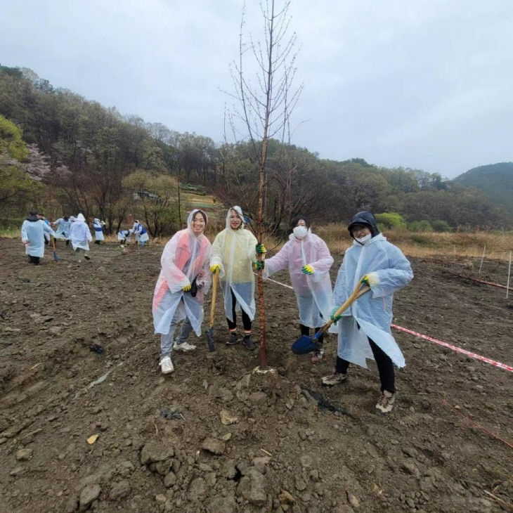 이로나 첨부사진