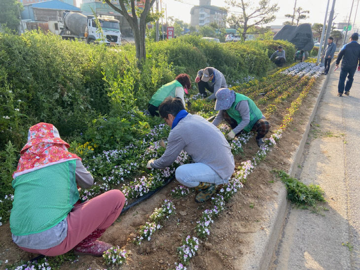 2. 새마을 잡초제거1