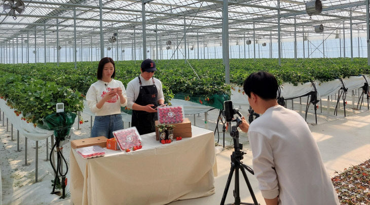 라이브커머스 교육2