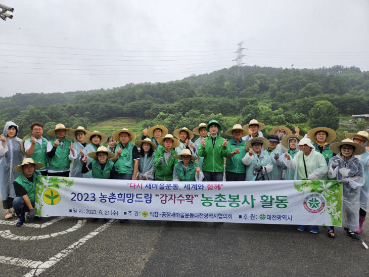 농촌희망드림 감자수확 봉사활동 (1)