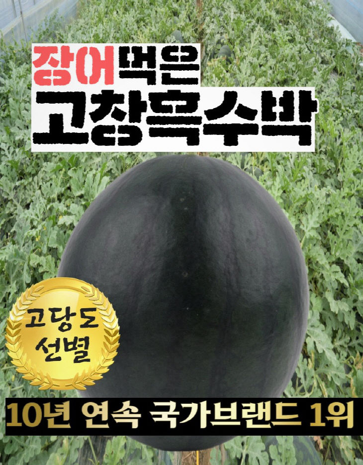 현대백화점 판매전_장어먹은고창흑수박 (1)