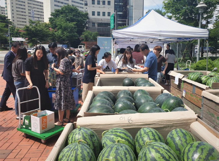 마포구 고창수박 시식행사(3)