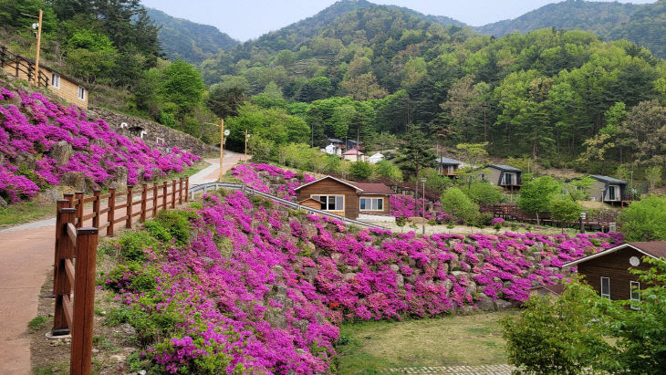 구재봉자연휴양림1