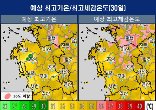 0730폭염1