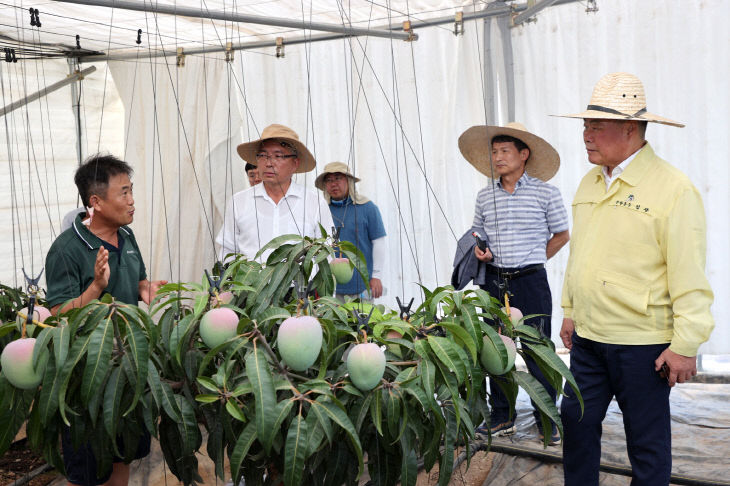 아열대과수 애플망고 재배농가 현장방문 (2)