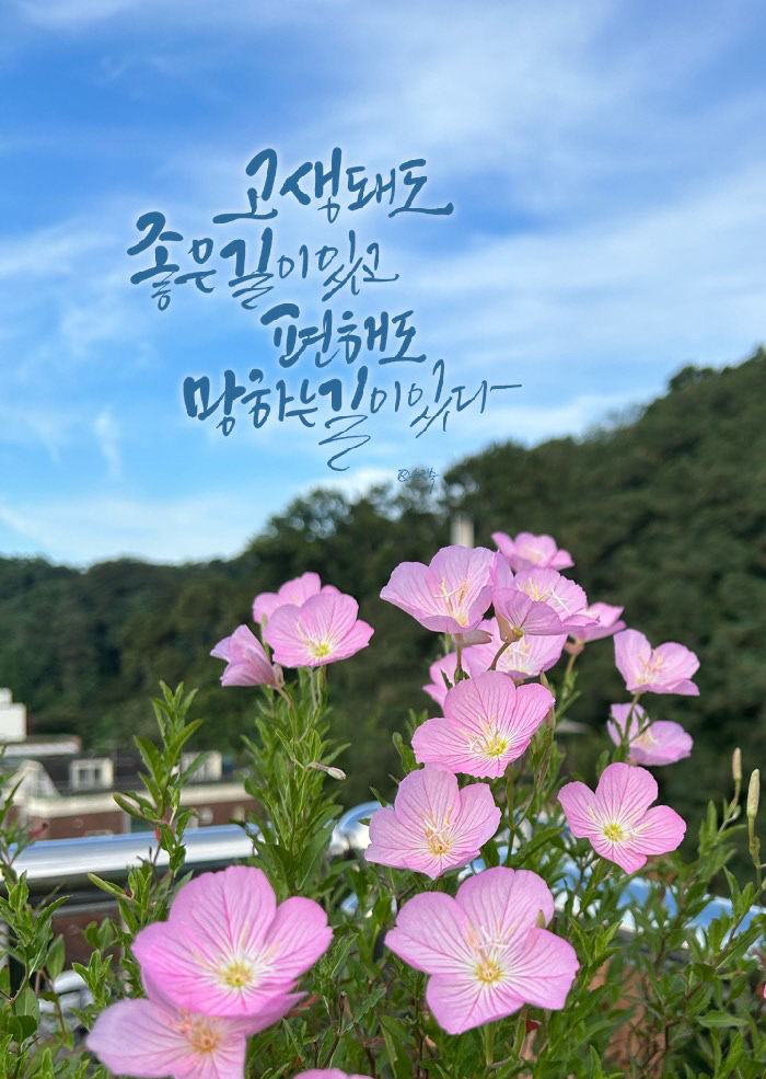 KakaoTalk_20230810_090052340