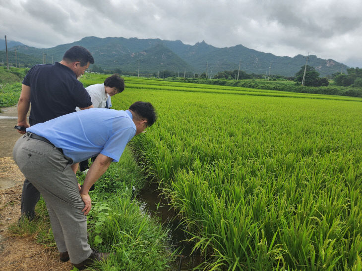 0823 달마지쌀 생산가공현장점검(군서재배단지)