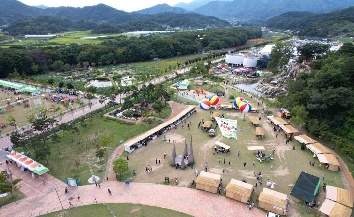 제17회 함양산삼축제 전경