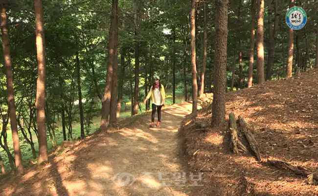 나만의 산책로를 찾으리~ 대전 현충원 보훈산책로 