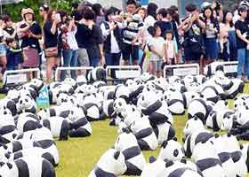 판다1600마리의 대전나들이