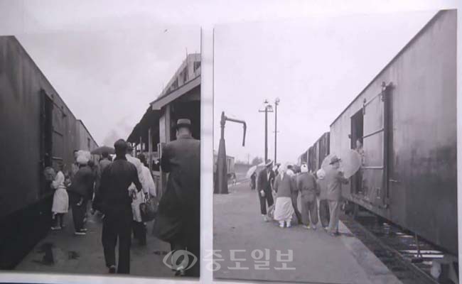 대전의 과거 모습은 어떻게 변했을까? 기록으로 보는 대전