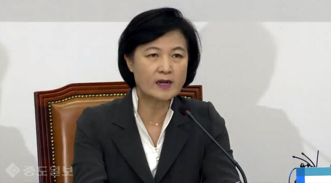 추미애, 박대통령 최순실 귀국 시키고 검찰 수사 받게 해야