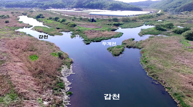 [드론영상]하늘에서 본 `갑천` 여기부터 갑천이라 부릅니다. 