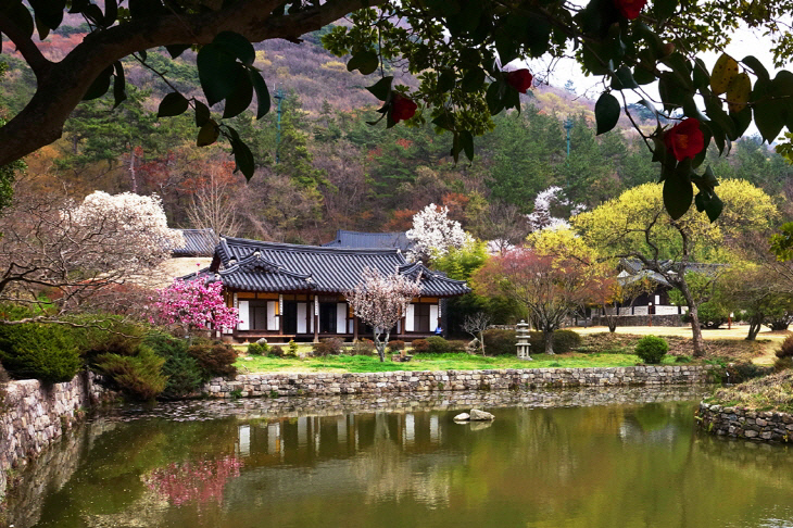 중도일보 - 진도 관광사진전국공모전 금상 '운림산방의 봄빛' 선정