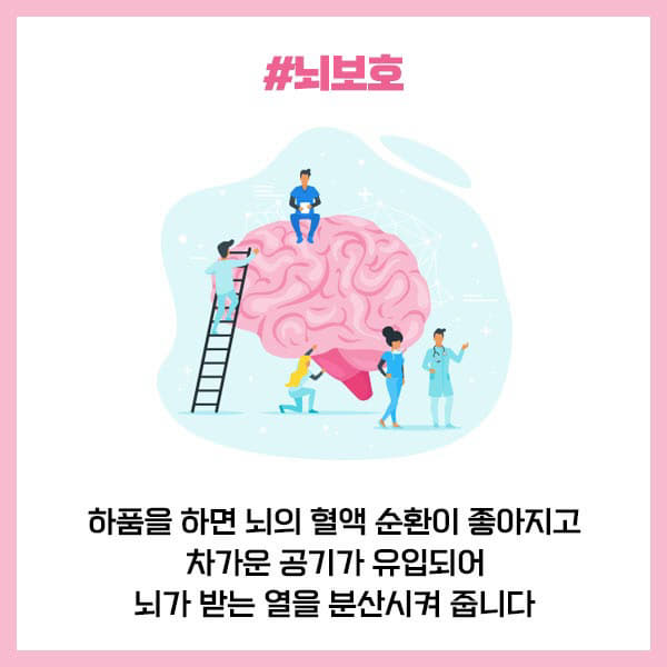 중도일보 - [카드뉴스] 지금 당장 하품을 해야 하는 이유