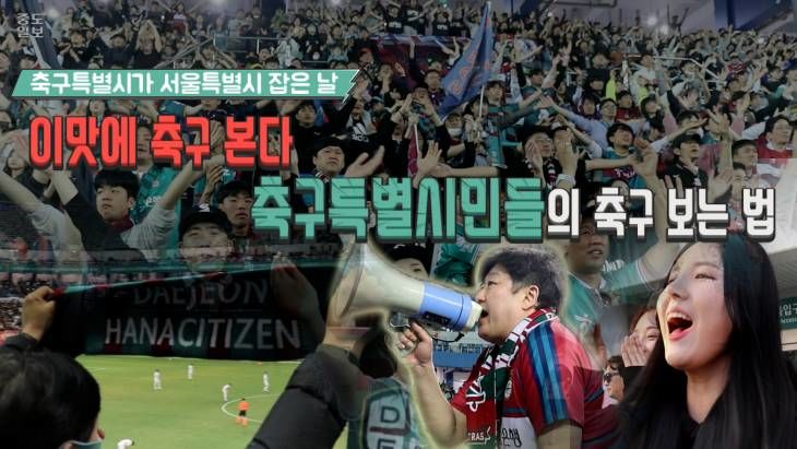 이맛에 축구 본다! 축구 제대로 즐길 줄 아는 축구특별시민들