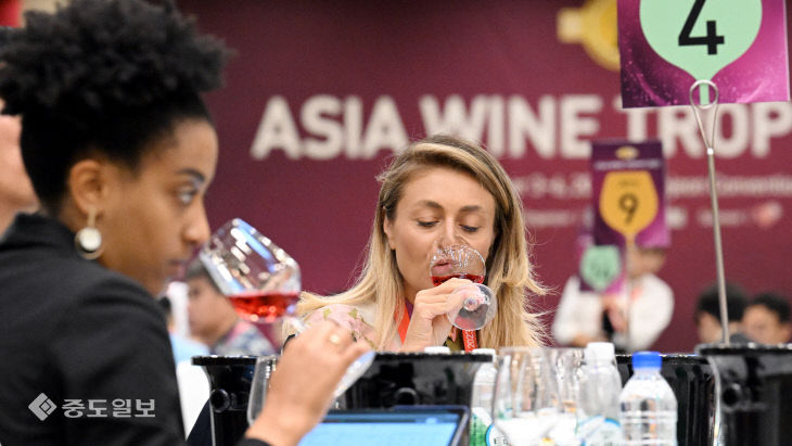 2023 대전국제와인엑스포…‘최고의 와인을 찾아라’