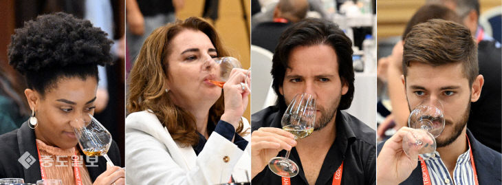 와인 전문가들의 블라인드 테스트