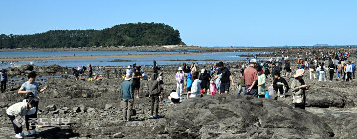 추석 연휴 ‘신비의 바닷길’에 몰린 관광객들