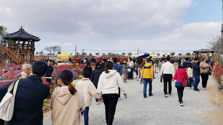 1. 제23회 서산국화축제 모습3