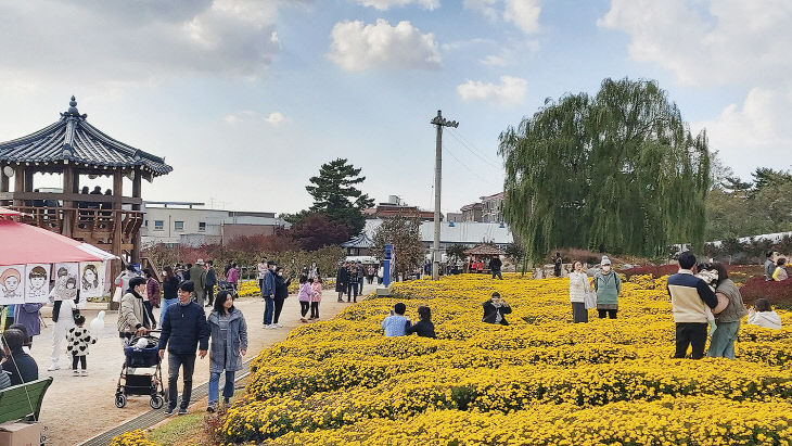 1. 제23회 서산국화축제 모습4