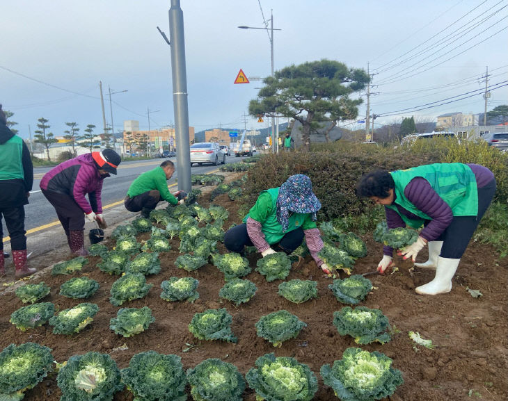 2. 새마을 겨울꽃(3)