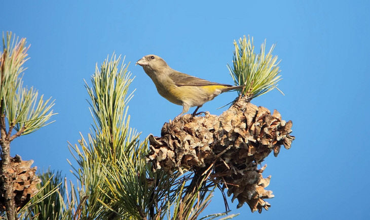 KakaoTalk_20231127_162059192