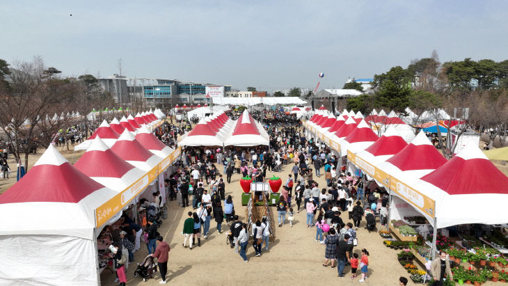 인산인해 이룬 2023 논산딸기축제장