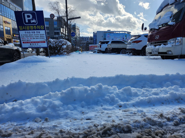 충남 눈