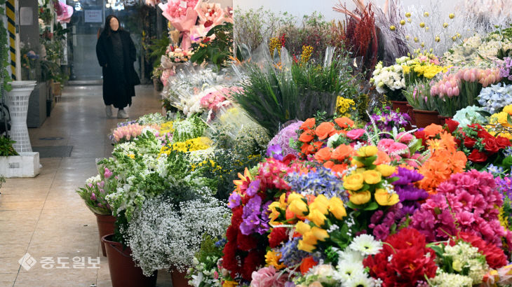 졸업시즌에도 휑한 꽃 도매시장
