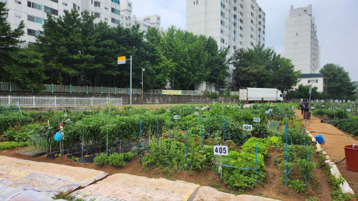 0213 계양구, 2024년 계양실버농장 분양 대상자 모집(2)