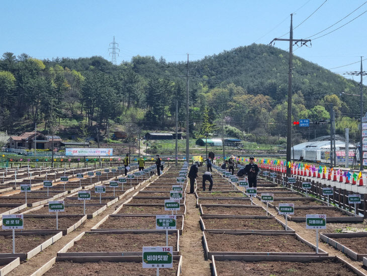 시민텃밭 분양시청 접수