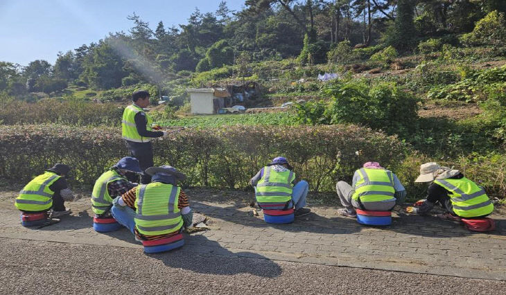 지역공동체 일자리사업, 마을가꾸기