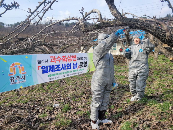 과수화상병 일제조사의 날