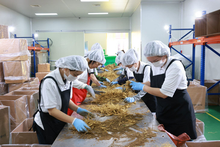 인삼 봄수확 GAP인증 공동선별장 운영