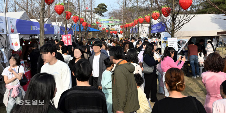 20240323-딸기축제 인파2