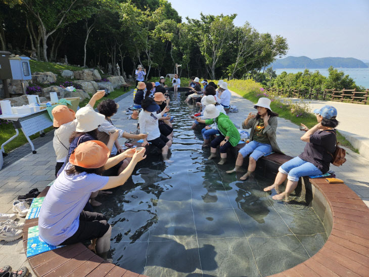 완도 약산 해안치유의 숲