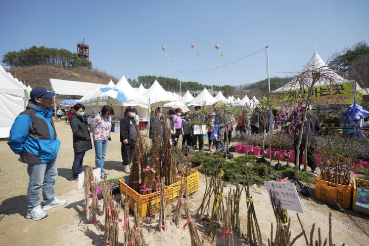 사진3)제21회 옥천묘목축제 묘목 전시판매장