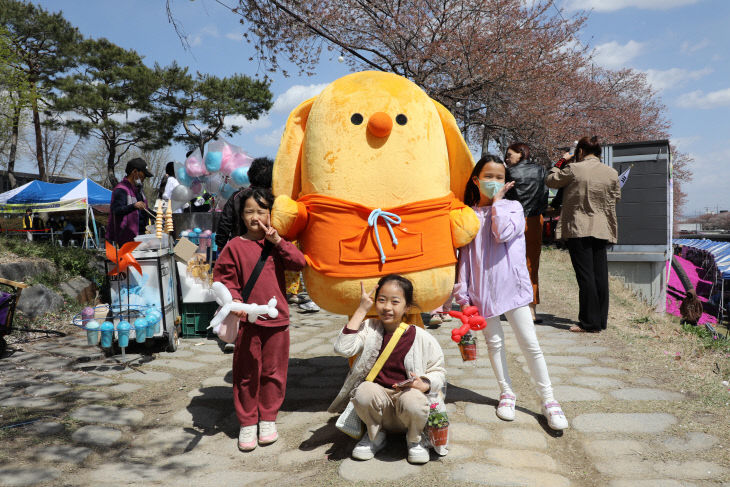 금산첨화(錦山添花) 제14회 금산천 봄꽃 축제