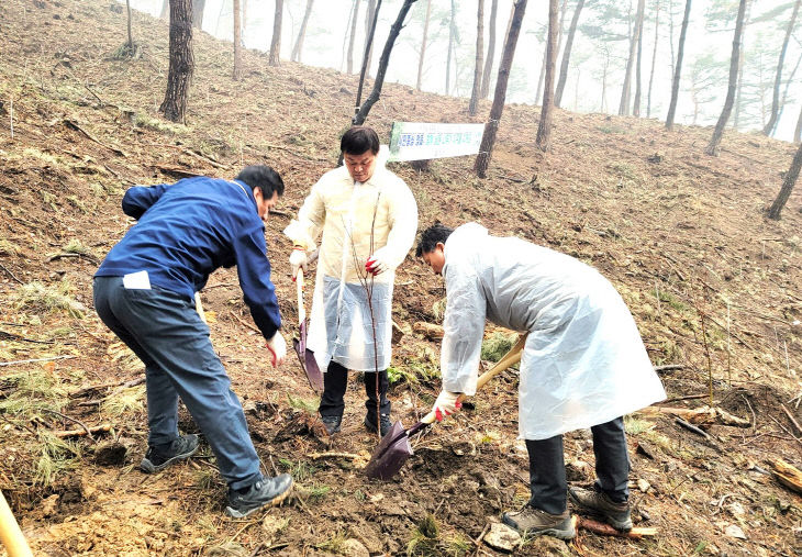 4월 5일 식목일 나무심기 행사 진행(자료사진)