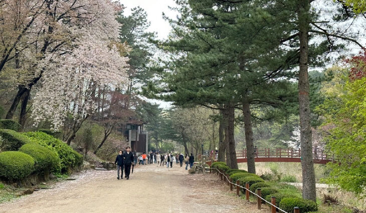 안양시, 봄의 정취 ‘서울대 관악수목원’ 개방