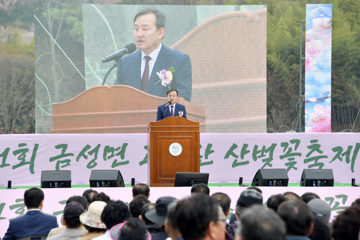 제1회 금성면 고비산 산벚꽃축제3