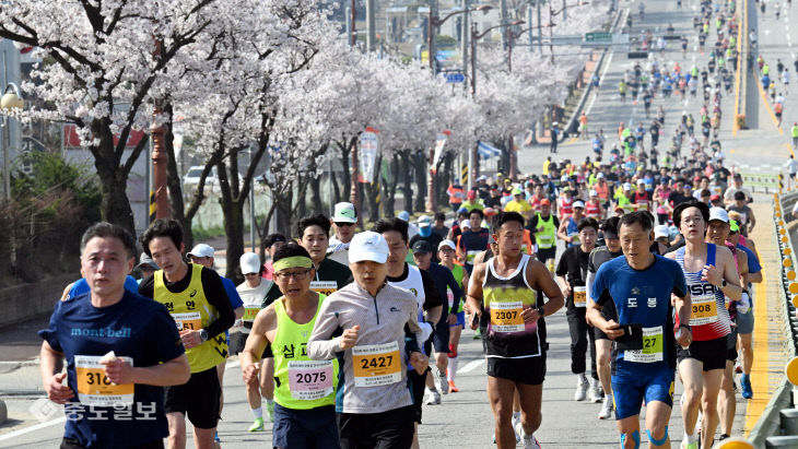 만개한 벚꽃길 달리며 구슬땀…예산 윤봉길 전국마라톤대회 ‘성료’