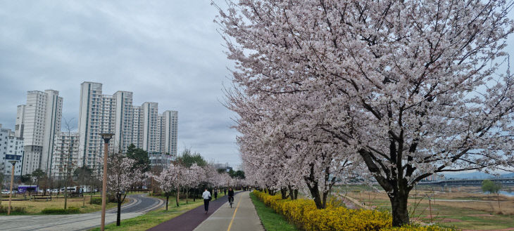 금강 수변