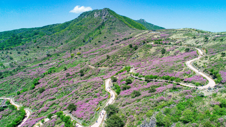 산청 황매산 무장애길 (1)