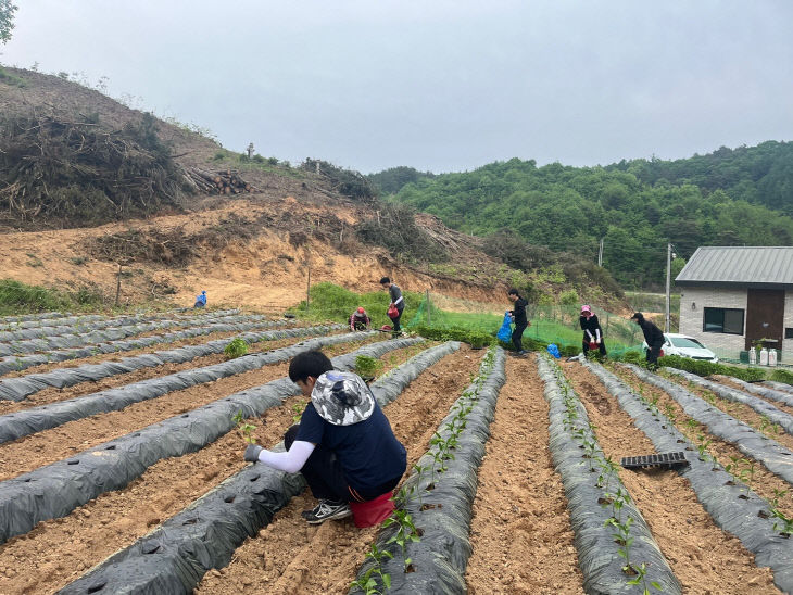 괴산군 도시건축과, 농촌 일손돕기 지원 (2)