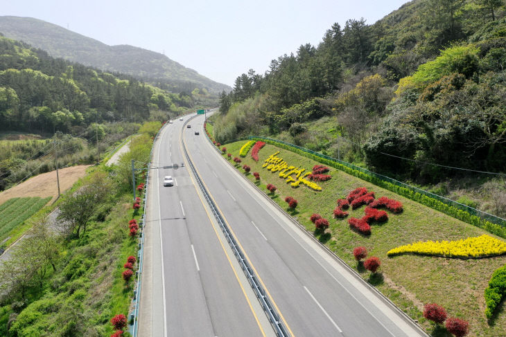 완도군, 국내 최장 21km 홍가시나무길 조성 (1)