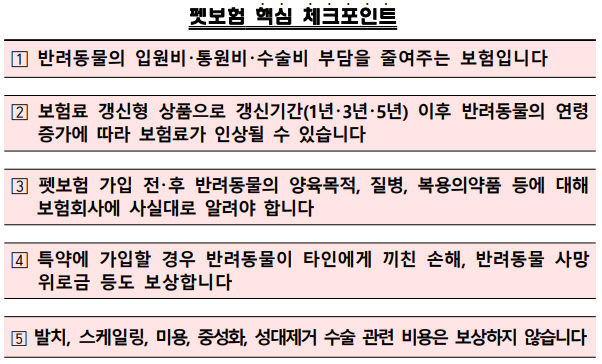 펫보험 핵심 체크포인트